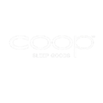 ChatGPT_Image_Feb_22__2026__02_24_34_PM-removebg-preview